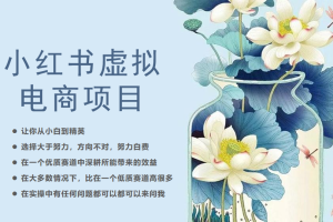 (6607期)小红书虚拟电商从0到1,让你从小白到精英(20节实操课程)