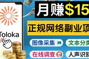 (3711期)正规网络副业赚钱平台Toloka,利用业余时间月赚150美元