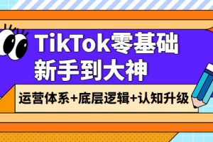 (3680期)TikTok零基础新手到大神:运营体系+底层逻辑+认知升级(9节系列课)