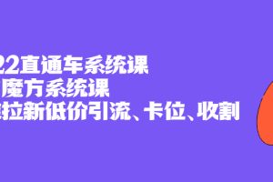 (2397期)2022直通车系统课+引力魔方系统课,精准拉新低价引流、卡位、收割