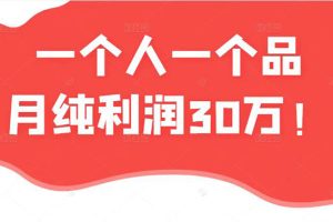 (2343期)某公众号付费文章:一个人一个品月纯利润30万的蓝海电商经典案例!