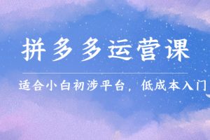 (2323期)拼多多运营课,适合小白初涉平台,低成本入门 创造销量和利润的方法