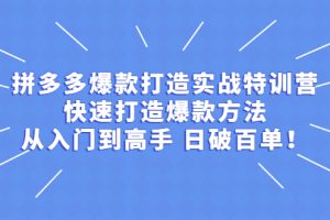 (2237期)拼多多爆款打造实战特训营:快速打造爆款方法,从入门到高手 日破百单