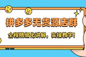 (2204期)拼多多无货源店群:全程精细化讲解,实操教学!