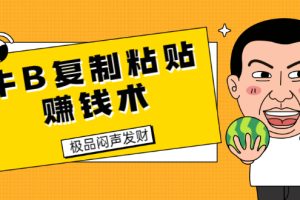 （1681期）牛B复制粘贴赚钱术！牛逼持久收入极品闷声发财项目（附软件+完整资料）