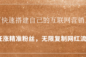(1427期)如何快速搭建自己的互联网营销系统,疯狂涨精准粉丝,无限复制网红流量