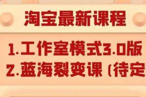 （1046期）淘宝无货源店群项目最新教程，轻松月入过万元（附全套软件）