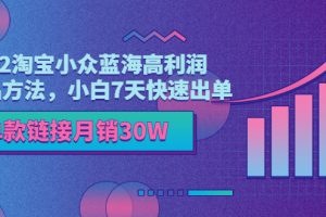 淘宝小众蓝海高利润选品方法论，做到7天快速出单小白也能做到