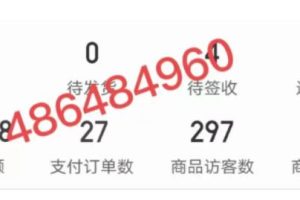 淘k·拼多多虚拟开店打卡群：一群人同行快过一个人单独摸索（昨日群里有小伙伴日入3000+）【更新至0226】