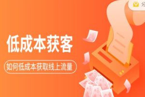 素宣成长学院低成本获客变现营，如何低成本获取线上流量【视频课程】