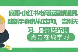疯哥·小红书电商运营精通课,帮助新手卖家从0走向1,告别无效学习,只需这3节课