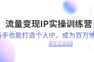 (8134期)流量变现-IP实操训练营:新手也能打造个人IP,成为百万 博主(46节课)