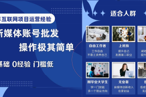 (8135期)自媒体账号批发,看我怎么一天赚1个W,超简单