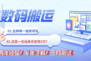 （8253期）年底最火持久副业,仅靠一句话一月变现3W?