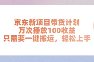 (11300期)京东新项目带货计划,万次播放100收益,只需要一键搬运,轻松上手