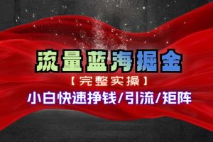 (11302期)热门赛道掘金_小白快速入局挣钱,可矩阵【完整实操】