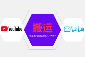 (13795期)纯搬运引流日进300粉,月入10w级教程