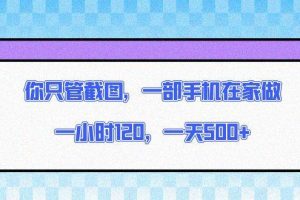 (13785期)你只管截图,一部手机在家做,一小时120,一天500+