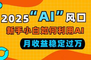 (13821期)2025“ AI ”风口,新手小白如何利用ai,每月收益稳定过万
