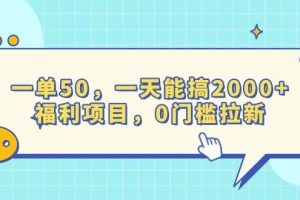 (13812期)一单50,一天能搞2000+,福利项目,0门槛拉新