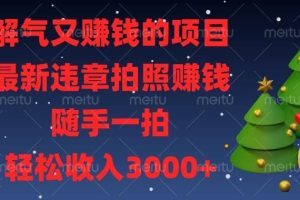 (13804期)解气又赚钱的项目,最新违章拍照赚钱,随手一拍,轻松收入3000+