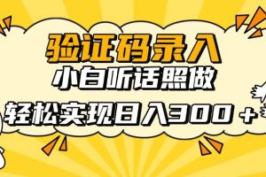 （14408期）信息录入项目，10秒一单，新手小白听话照做快速上手，实现日入300＋