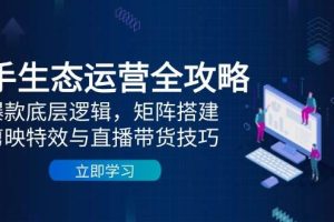 （14728期）快手生态运营全攻略：爆款底层逻辑，矩阵搭建，剪映特效与直播带货技巧