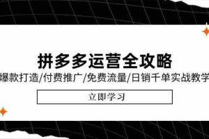 拼多多运营全攻略，爆款打造/付费推广/免费流量/日销千单实战教学/6月更新