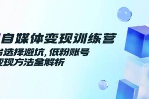 AI自媒体变现训练营，平台选择避坑，低粉账号高变现方法全解析