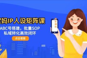 宝妈IP人设矩阵课：ABC号搭建，批量SOP，私域转化高效闭环