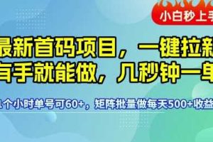 最新首码项目，一键拉新有手就能做，几秒钟一单，1个小时单号可60+，矩阵批量做每天5张【揭秘】