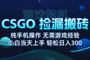 （15820期）8月最新游戏搬砖，CSGO纯挂机，不需要玩游戏，实现真挂机，月入1W+