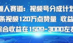懒人赛道：视频号分成计划单条视频120W点赞量 收益高综合收益在1.5K左右