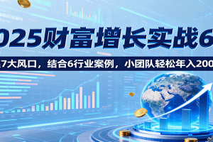 2025财富增长实战6.0，聚焦7大风口，结合6行业案例，小团队轻松年入200万！