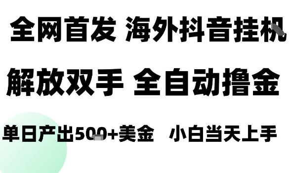 海外抖音无人直播，单日产出1.5k+，长期稳定，新手可玩，无脑操作【揭秘】