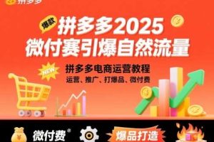 拼多多2025微付费引爆自然流量,拼多多电商运营教程,运营、推广、打爆品、微付费(更新)