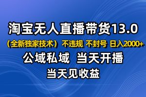 淘宝无人直播13.0,公域私域技术,不封号,不违规 布局下半年旺季赛道,日入2000+