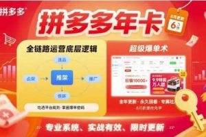 拼多多年卡,拼多多全链路运营底层逻辑,超级爆单术【更新10月】