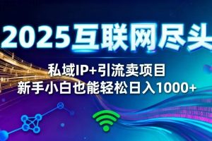 (16485期)2025网创尽头王炸项目!私域 IP + 精准引流,新手小白在家躺赚日入 1000+