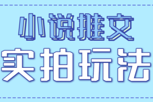 小说推文实拍玩法，零成本零门槛10元/单，轻松月收益万元
