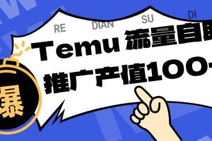 （16636期）专注于Temu、商家提供精准曝光浏览量，助力店铺排名提升和转化。单机日收入80~130