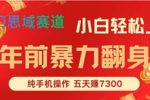 （16881期）年前爆火项目，每单可以赚个300-2000，5天赚了7300