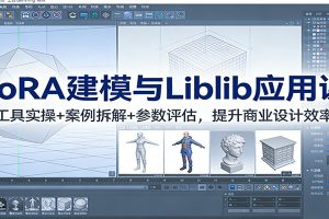 LoRA建模与Liblib应用课：工具实操+案例拆解+参数评估，提升商业设计效率