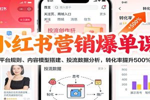 小红书营销爆单课:平台规则、内容模型搭建、投流数据分析,转化率提升500%