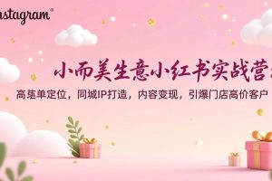 (17113期)小而美生意小红书实战营:高客单定位,同城IP打造,内容变现,引爆门店高价客户
