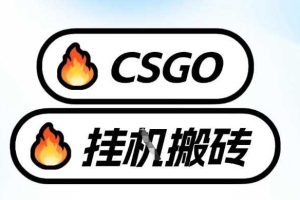 真全网独家CSGO挂G，最新玩法,单日捡漏1K+，不用电脑，不用打游戏【揭秘】