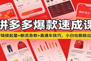 拼多多爆款速成课:新链接起量+断流急救+直通车技巧,小白也能稳出单