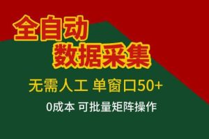 全自动数据采集,无需人工,单窗口50+,0成本可批量矩阵操作【揭秘】