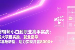 （17360期）剪辑师小白到职业高手实战：四大项目实操、就业指导，零基础转型，助力实现月薪8000+