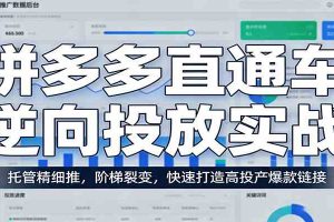 拼多多直通车逆向投放实战:托管精细推,阶梯裂变,快速打造高投产爆款链接